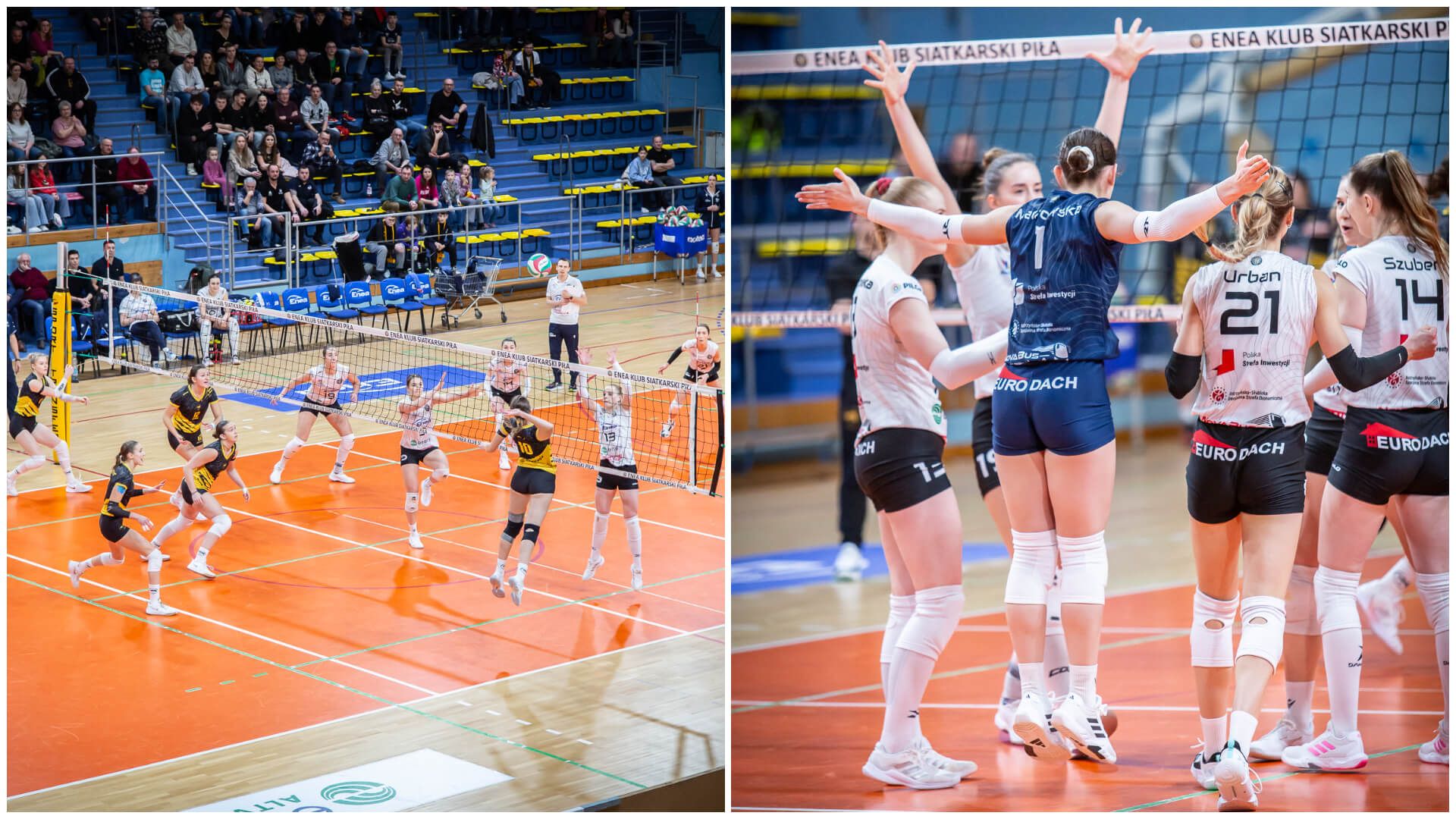 Mecz 15. kolejki 1. Ligi Siatkówki Kobiet 2024.25: KS Piła – KSG Warszawa 3:0 (30:28, 25:19, 25:16)